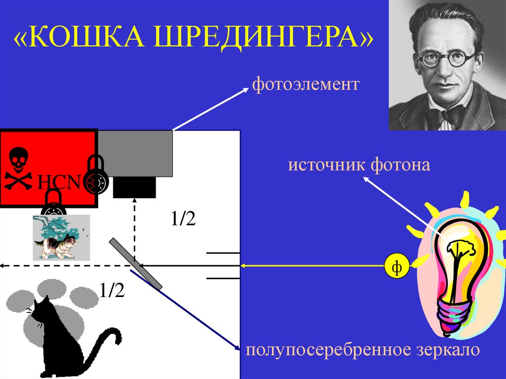 «КОШКА ШРЕДИНГЕРА»