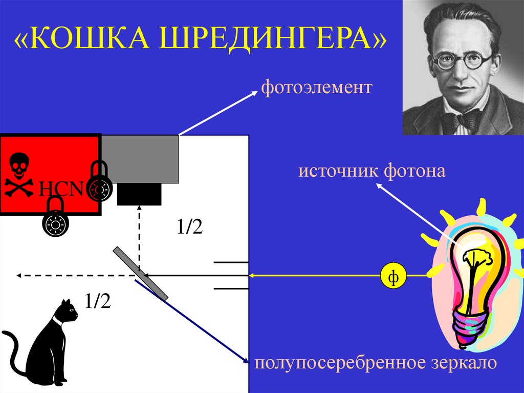«КОШКА ШРЕДИНГЕРА»