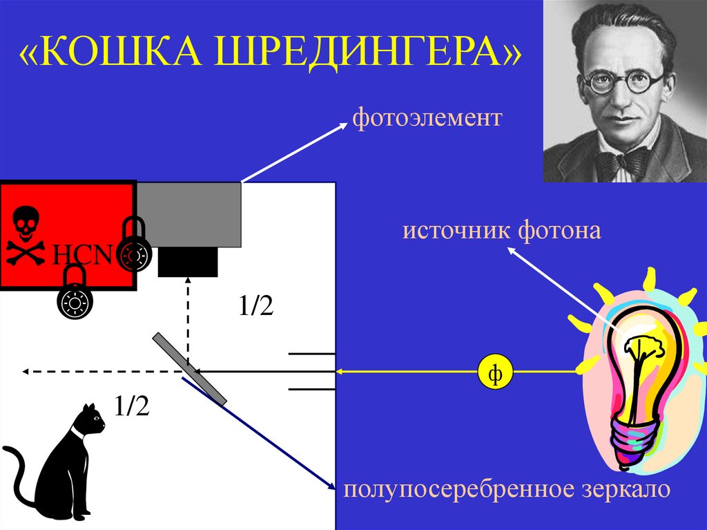 «КОШКА ШРЕДИНГЕРА»
