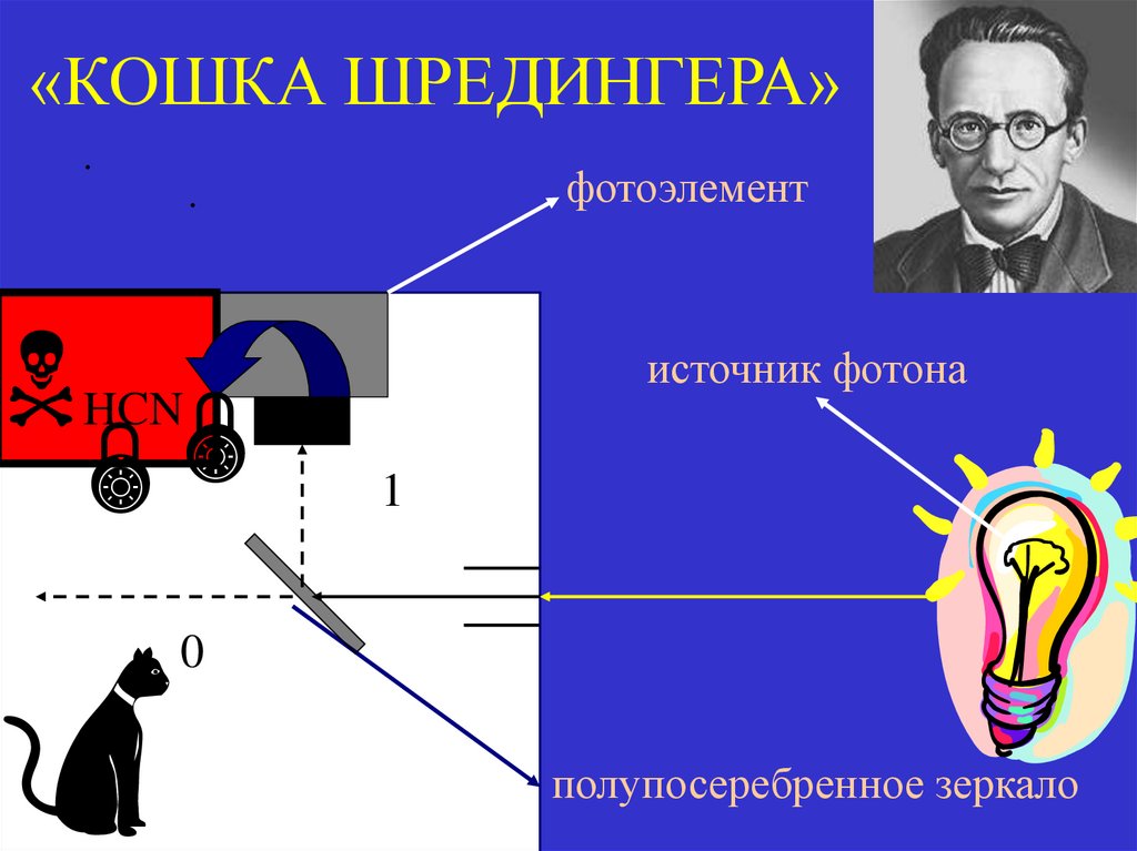 «КОШКА ШРЕДИНГЕРА»