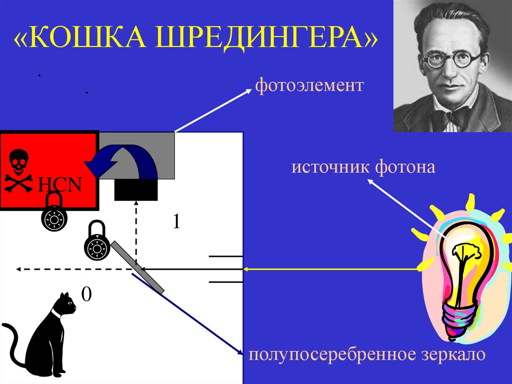 «КОШКА ШРЕДИНГЕРА»