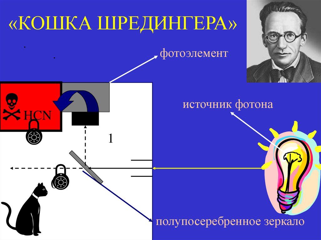 «КОШКА ШРЕДИНГЕРА»