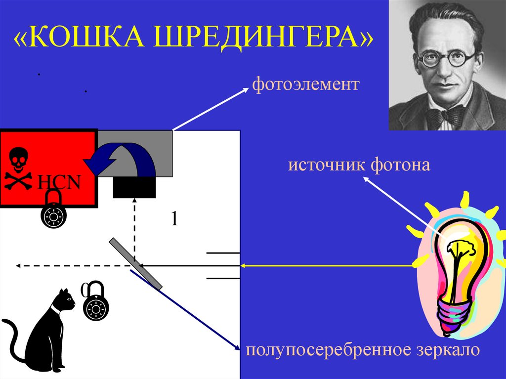 «КОШКА ШРЕДИНГЕРА»