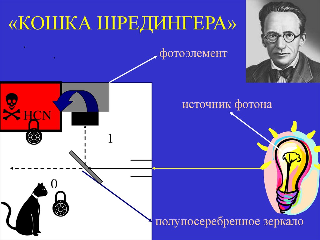 «КОШКА ШРЕДИНГЕРА»