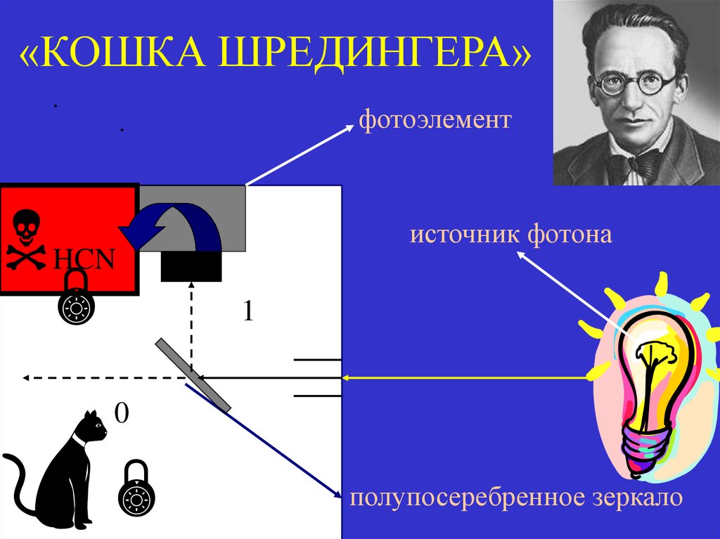 «КОШКА ШРЕДИНГЕРА»