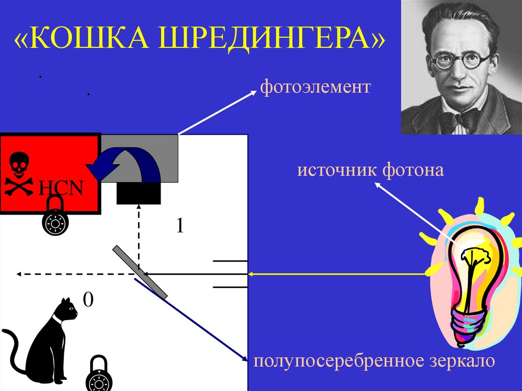 «КОШКА ШРЕДИНГЕРА»