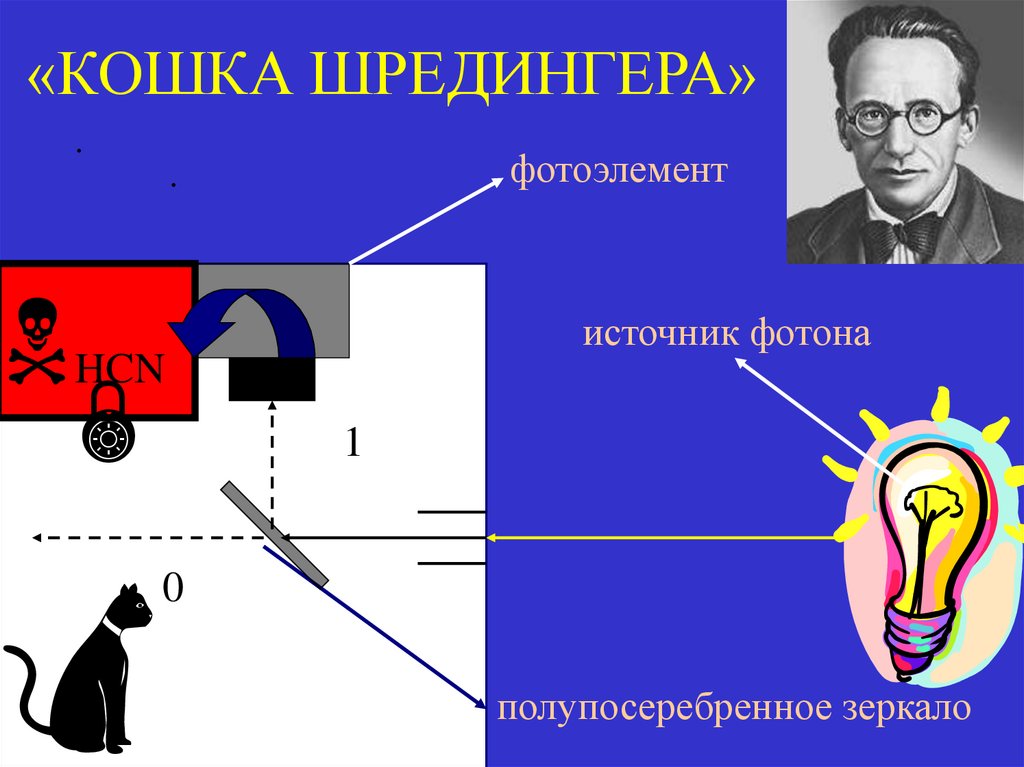 «КОШКА ШРЕДИНГЕРА»