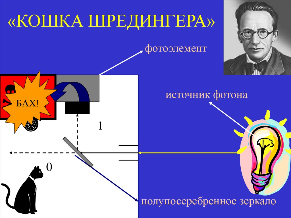 «КОШКА ШРЕДИНГЕРА»