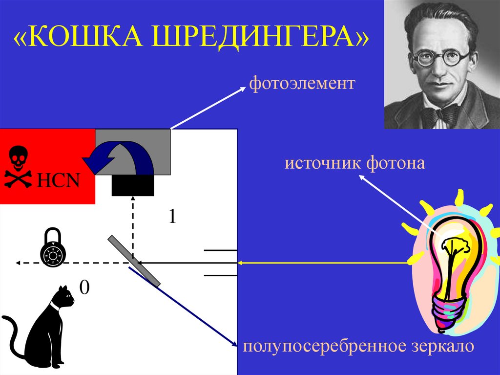 «КОШКА ШРЕДИНГЕРА»