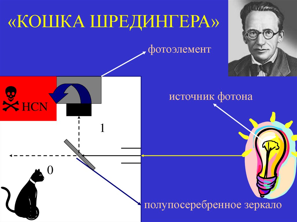 «КОШКА ШРЕДИНГЕРА»