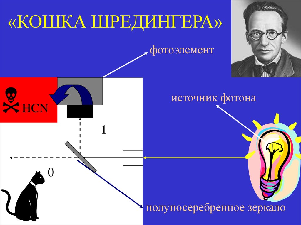 «КОШКА ШРЕДИНГЕРА»