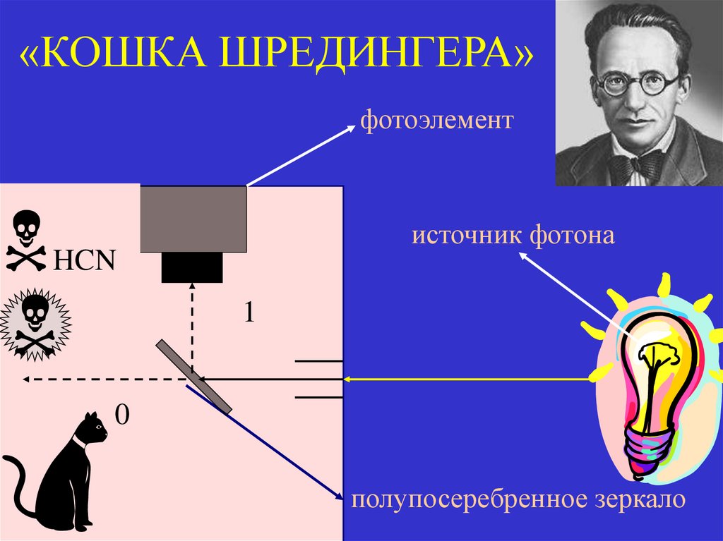 «КОШКА ШРЕДИНГЕРА»