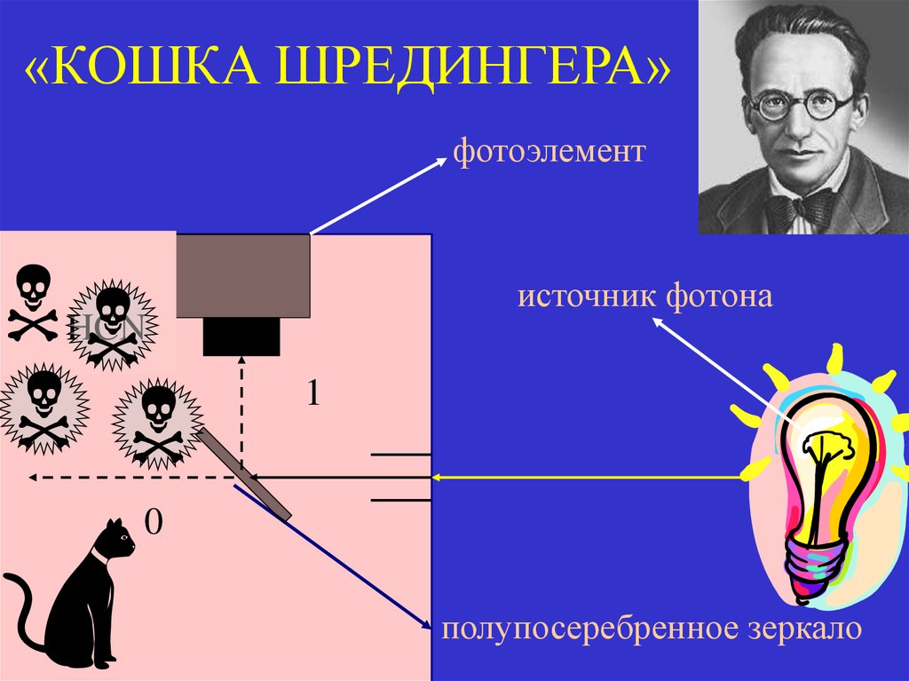 «КОШКА ШРЕДИНГЕРА»