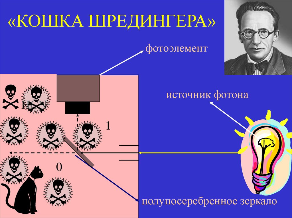 «КОШКА ШРЕДИНГЕРА»