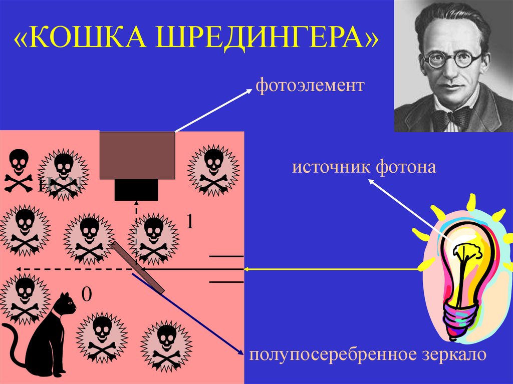 «КОШКА ШРЕДИНГЕРА»