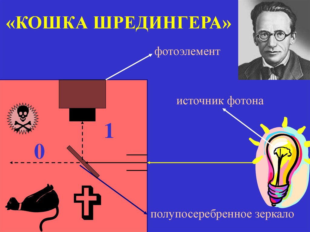 «КОШКА ШРЕДИНГЕРА»