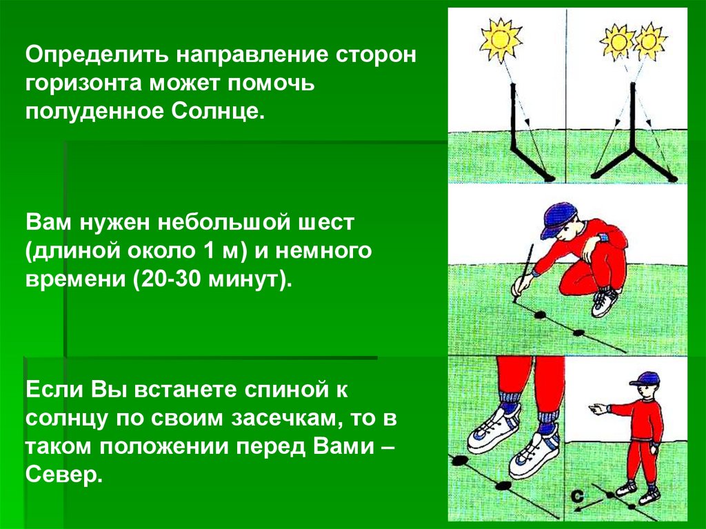 Конкретное направление. Определить направление сторон горизонта. Горизонт ориентирование на местности. Способы определения направления на стороны горизонта. Ориентирование 6 класс ОБЖ.