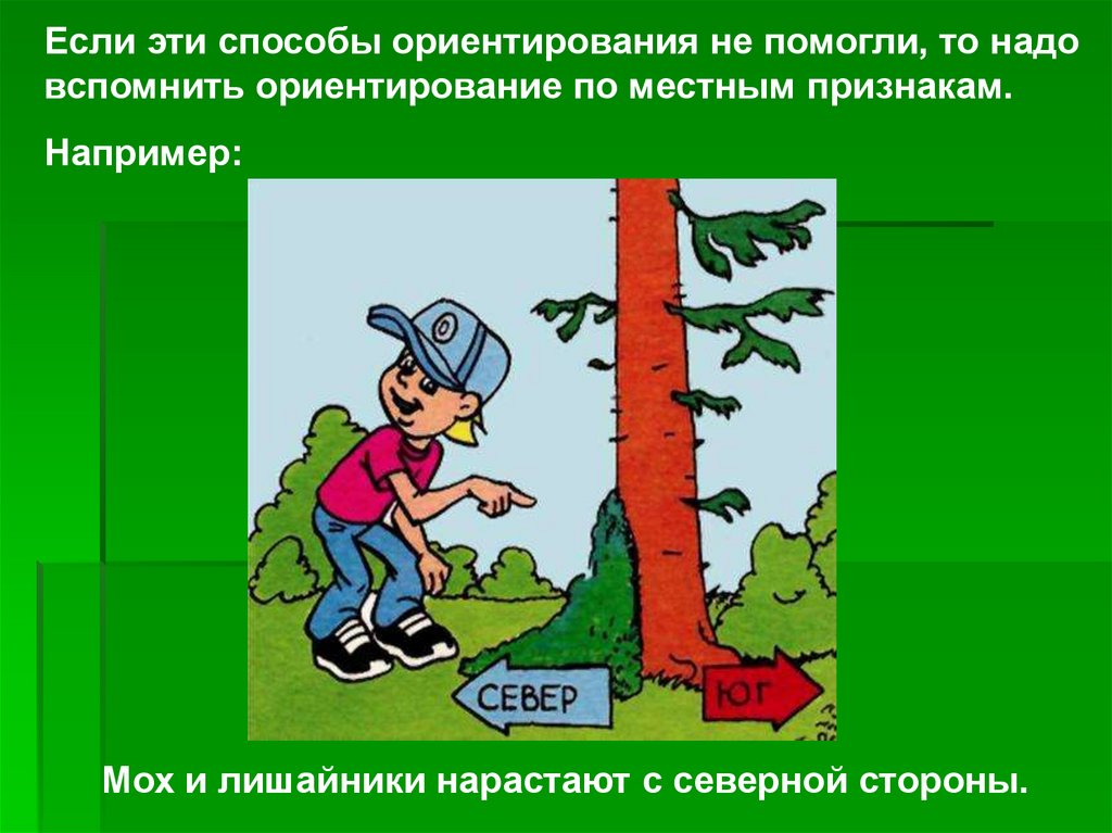 Помогали ориентироваться. Ориентирование на местности. Риентирование на местности