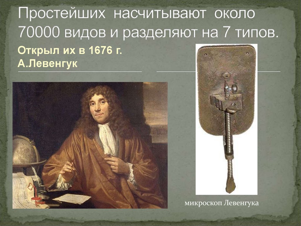 Простейших насчитывают около 70000 видов и разделяют на 7 типов.