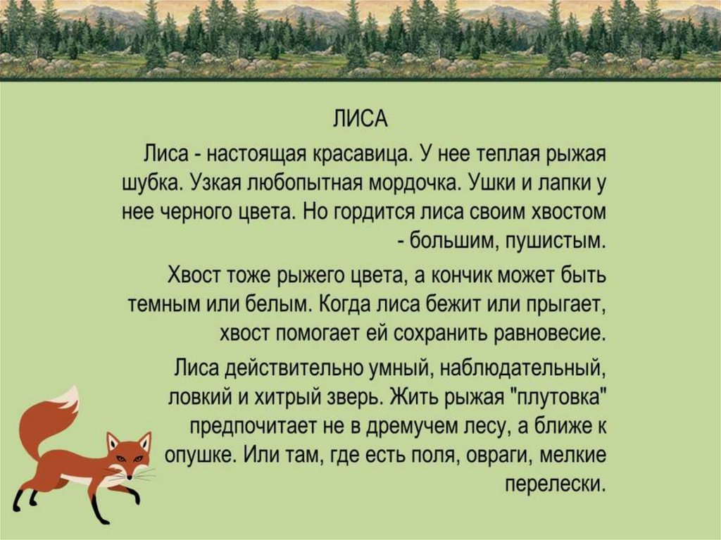 Любимое дикое животное устное. Текст описание о лисе 2 класс. Рассказ про лису. Сочинение описание про лису. Описание про лису.