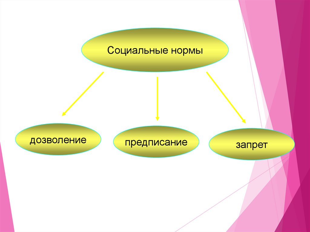 План социальные ценности