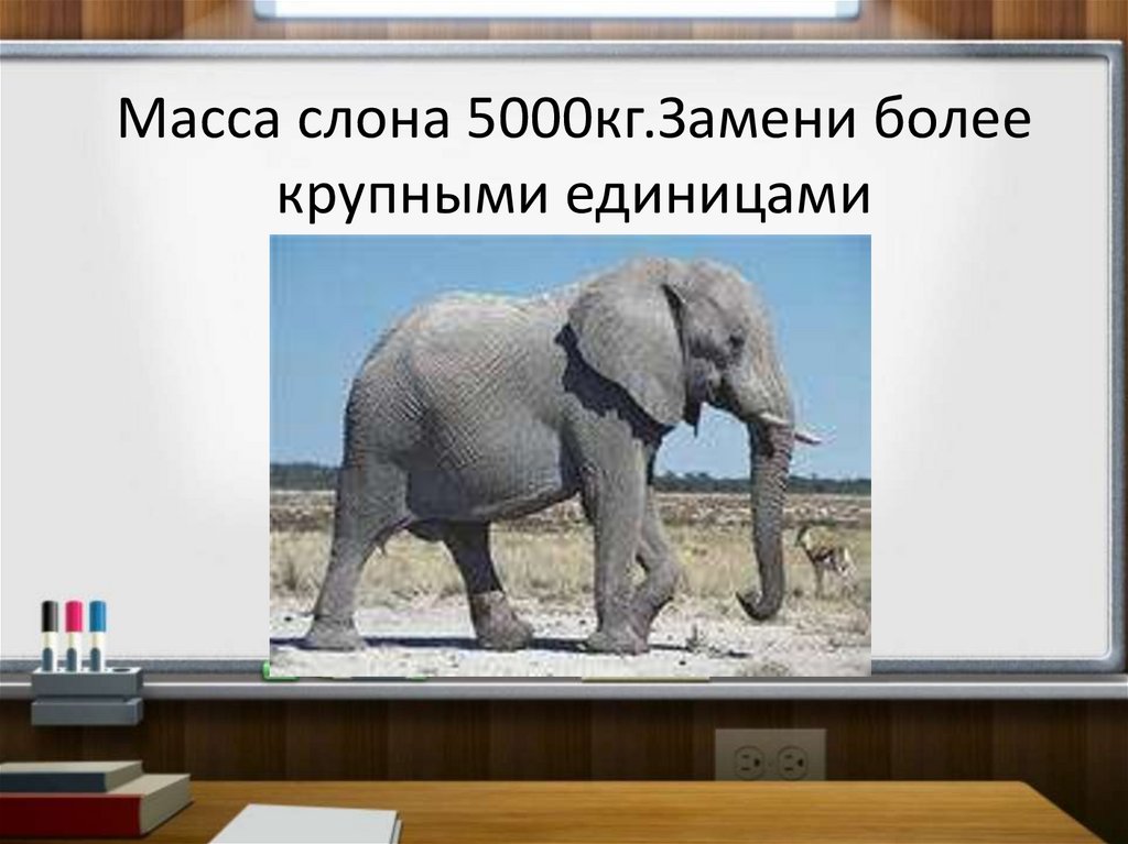 Масса слона 5 тонн это на 4. Масса слона. Масса одного слона. Вес слонов.