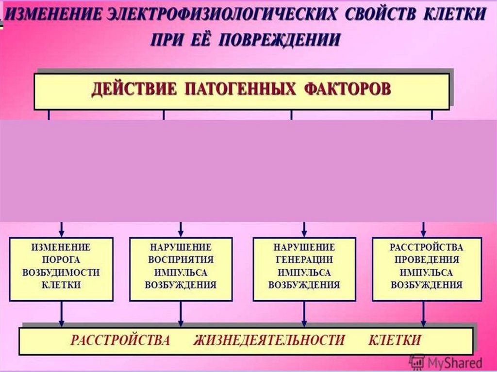 Презентация по патофизиологии