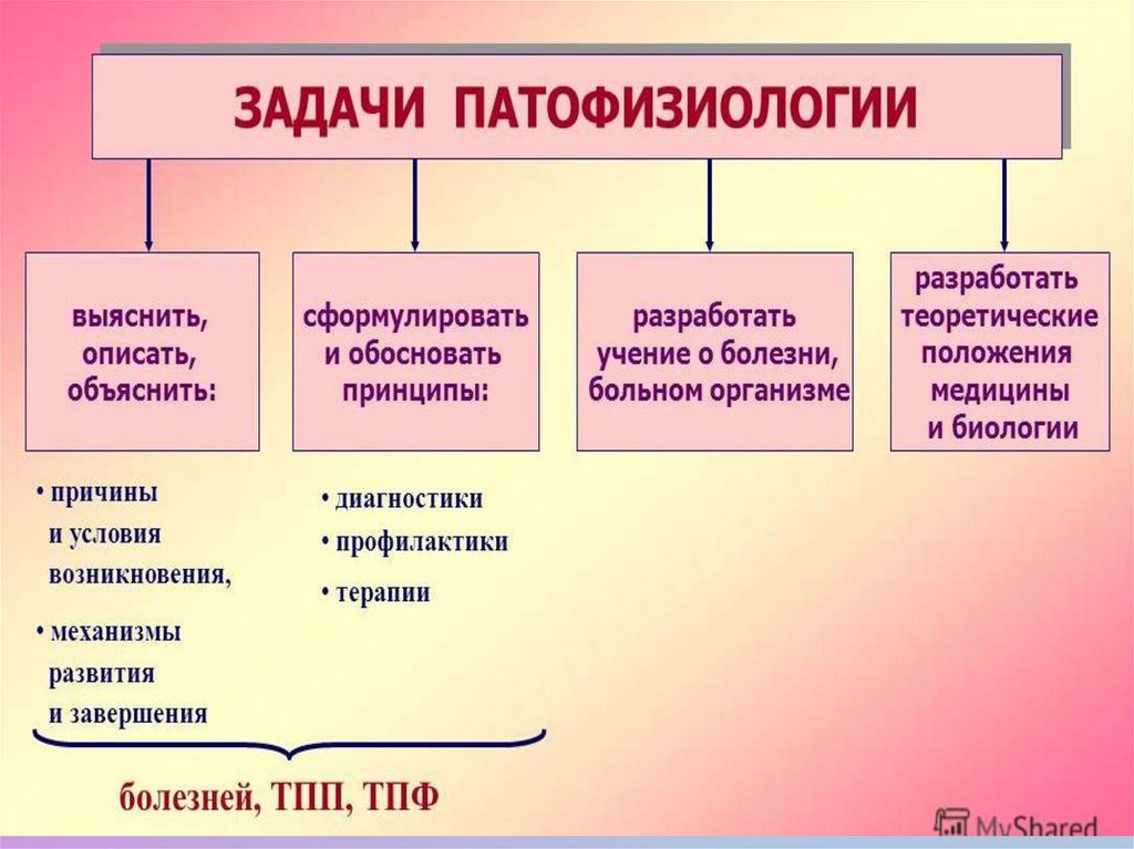 Патфиз. Структура патофизиологии. Основные этапы развития патофизиологии. Принцип диалектического материализма в патофизиологии. Объект и методы в патофизиологии.