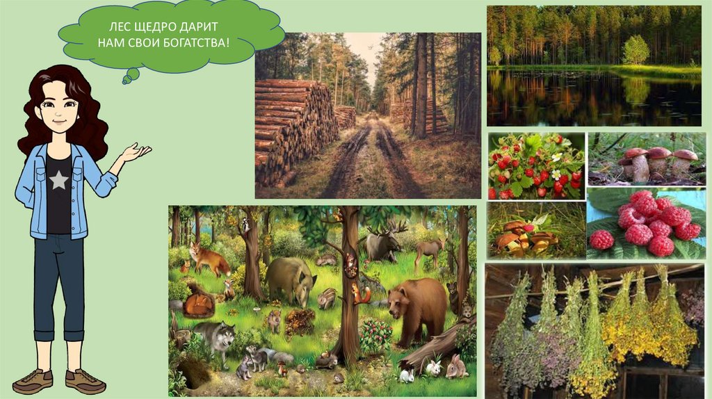 Как использовать богатство леса. Лес наш друг. Презентация лес наш друг. Лес наше богатство рисунки для детей. Интерактивные плакаты лес наш друг.