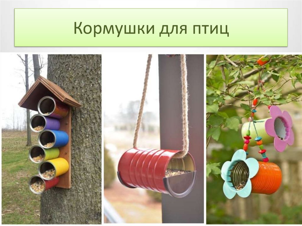 Кормушки для птиц