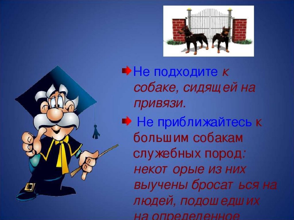 Собака бывает кусачей. Люди служебных пород стих. Не подходи к собаке сидящей на привязи.