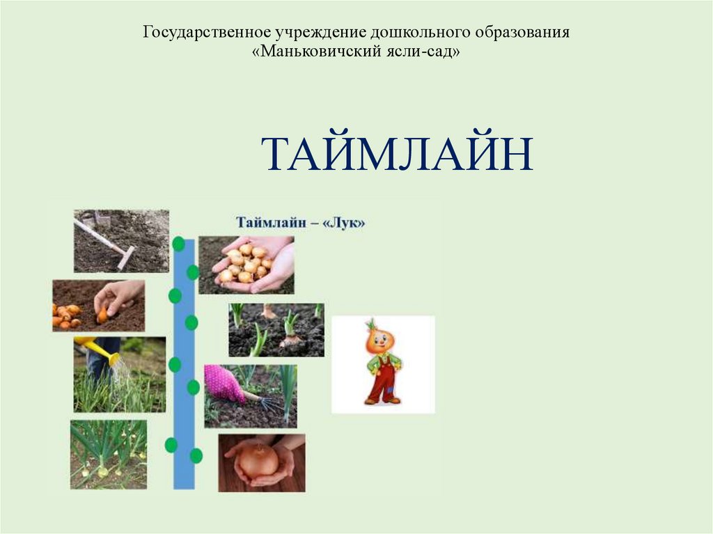 Проект по технологии уход за комнатными растениями