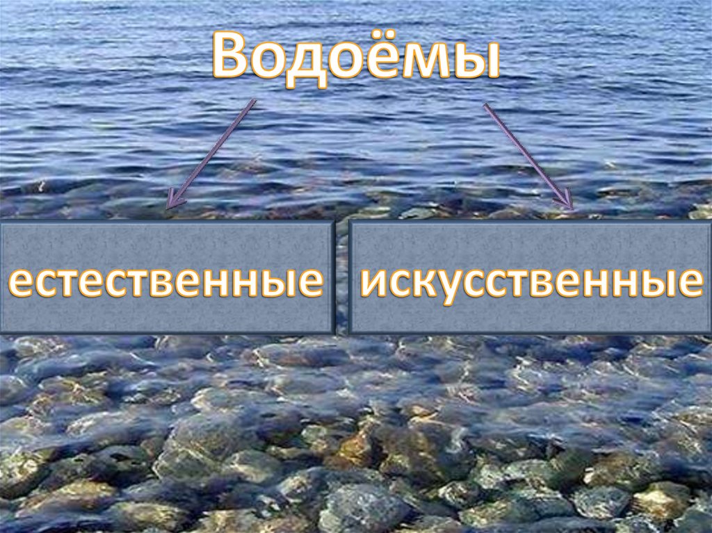Водоёмы