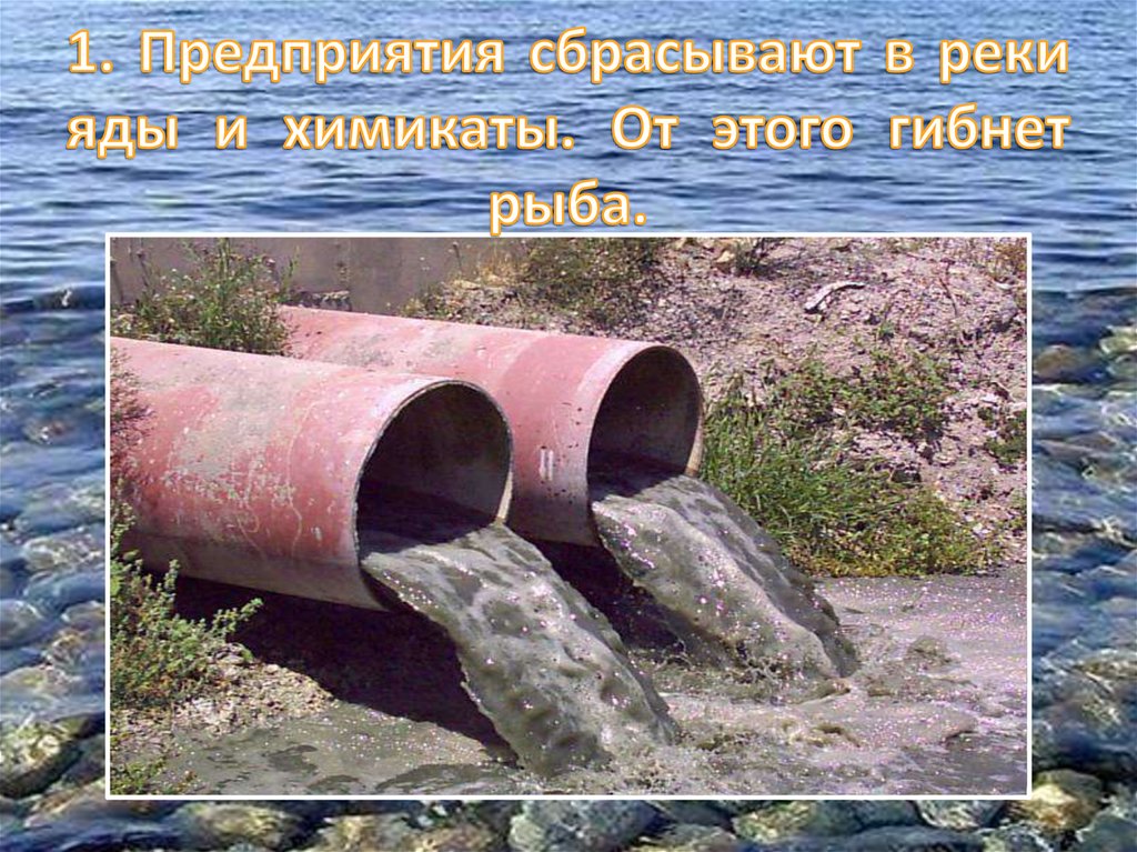1. Предприятия сбрасывают в реки яды и химикаты. От этого гибнет рыба.