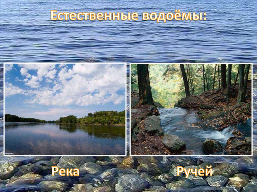 Естественный водоем 5. Естественные водоемы. Жизни ручеёк.