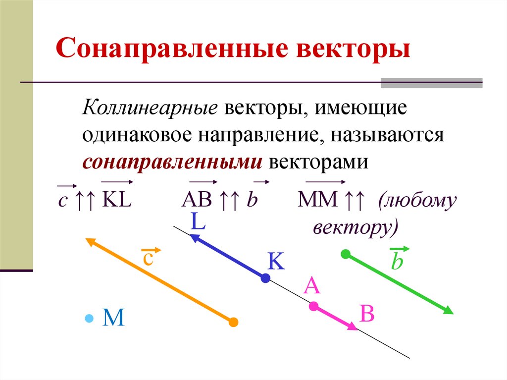 Векторы утверждения. Коллинеарные векторы сонаправлены. Понятие векторов коллинеарные сонаправленные. Колониальные и сонаправленные векторы. Сонаправленные векторы называются.