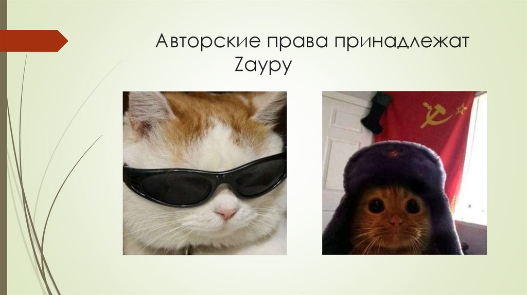 Авторские права принадлежат Zауру