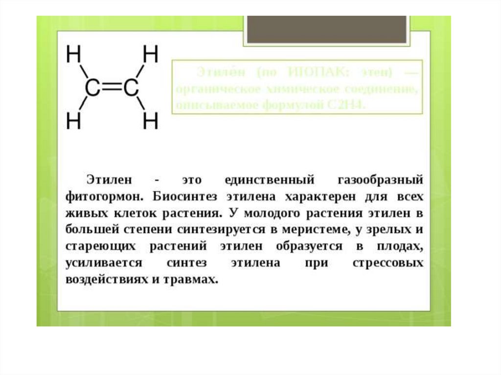 Газообразный этилен. Этилен фитогормон функции. Этилен гормон растений. Биосинтез этилена. Этилен фитогормон растений.