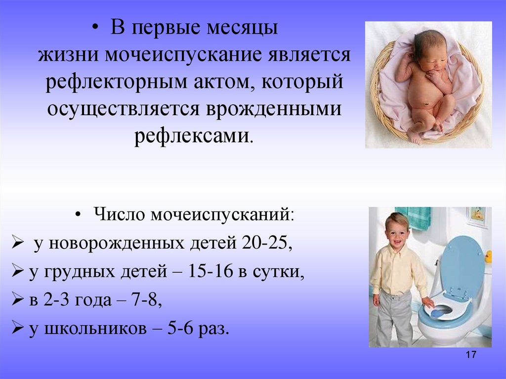 Количество мочеиспусканий в год. Число мочеиспусканий у новорожденных детей. Число мочеиспусканий у новорожденного в сутки. У новорожденных детей число мочеиспусканий в сутки. Чисто мочеиспусканй у новорож.