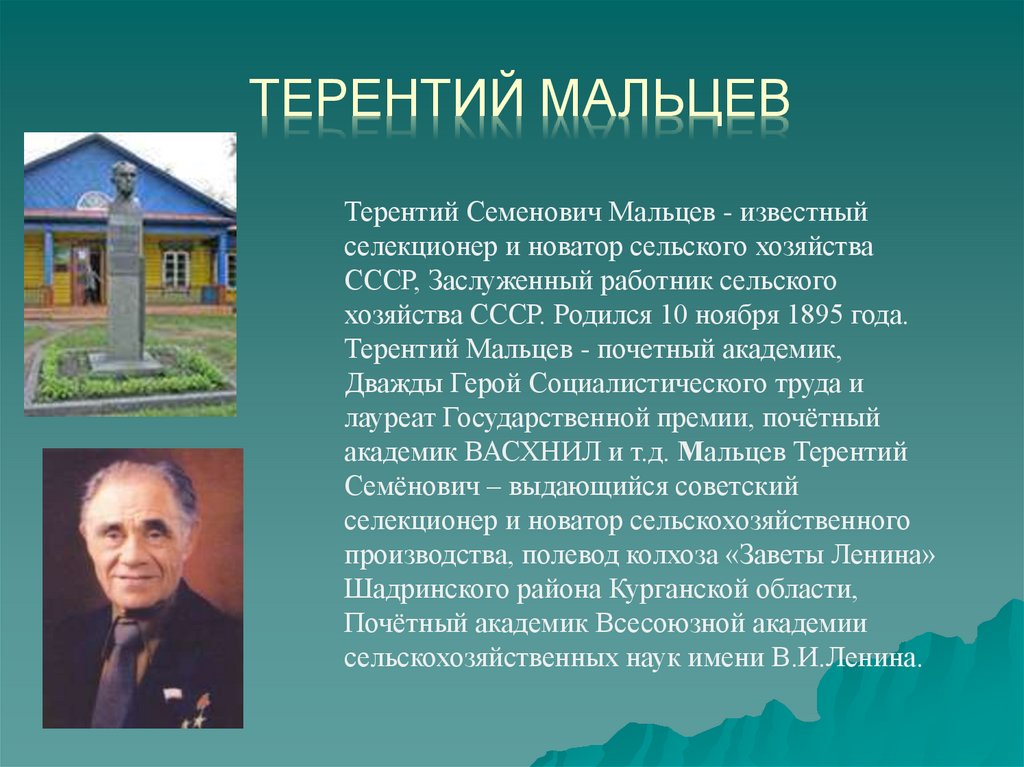 Какие известные люди жили в челябинской. Дом Терентия Семеновича Мальцева. Поэты и Писатели Зауралья.