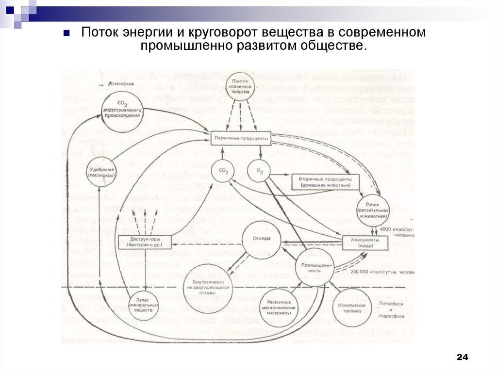 Поток вещества в сообществе. Круговорот энергии в биосфере схема. Круговорот веществ и поток энергии. Поток энергии в биосфере. Схемы потоков энергии в сообществе.