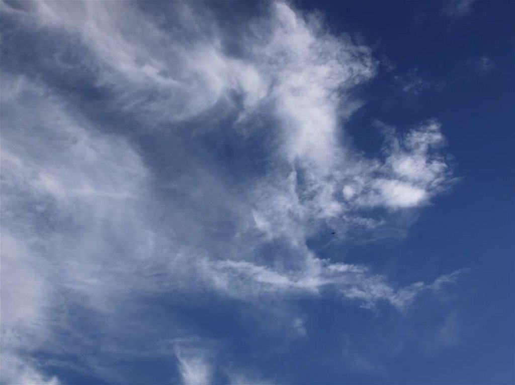 Облака облака облака мы похожи мы с вами похожи. Туча похожая на королеву. Cloud search.