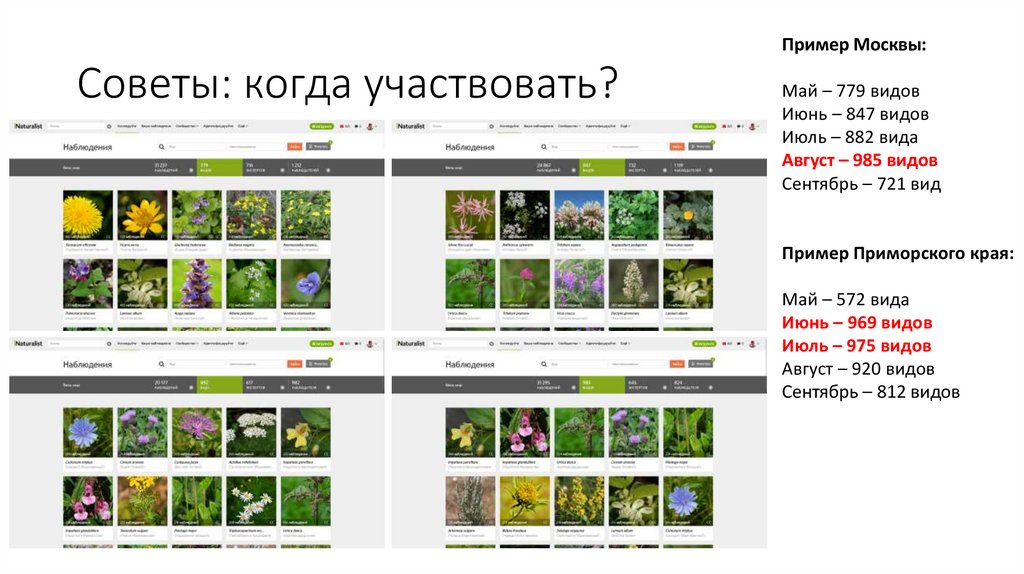 Советы: когда участвовать?