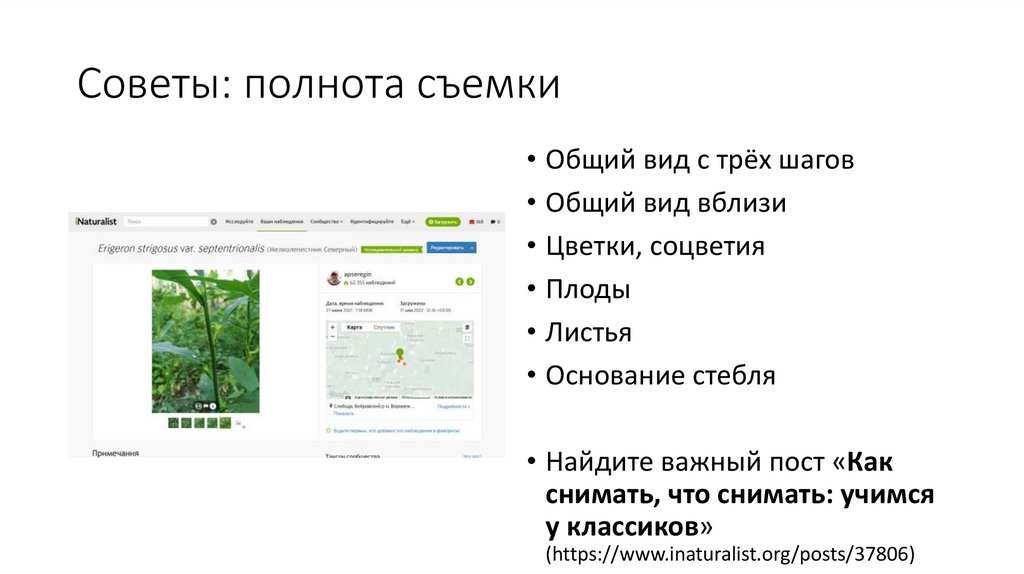 Советы: полнота съемки