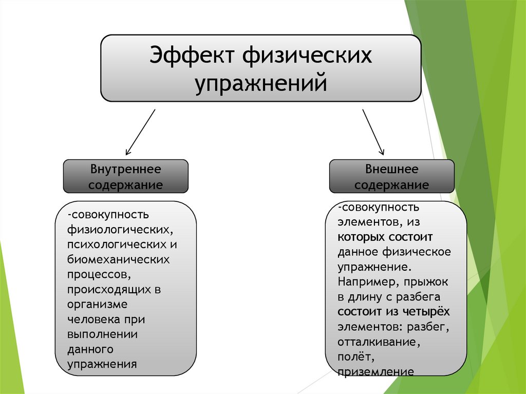 Виды физических процессов. Основные формы и виды физических упражнений. Основные формы и виды физических упражнений презентация. Основные формы рузульта. Виды физических поняти1.