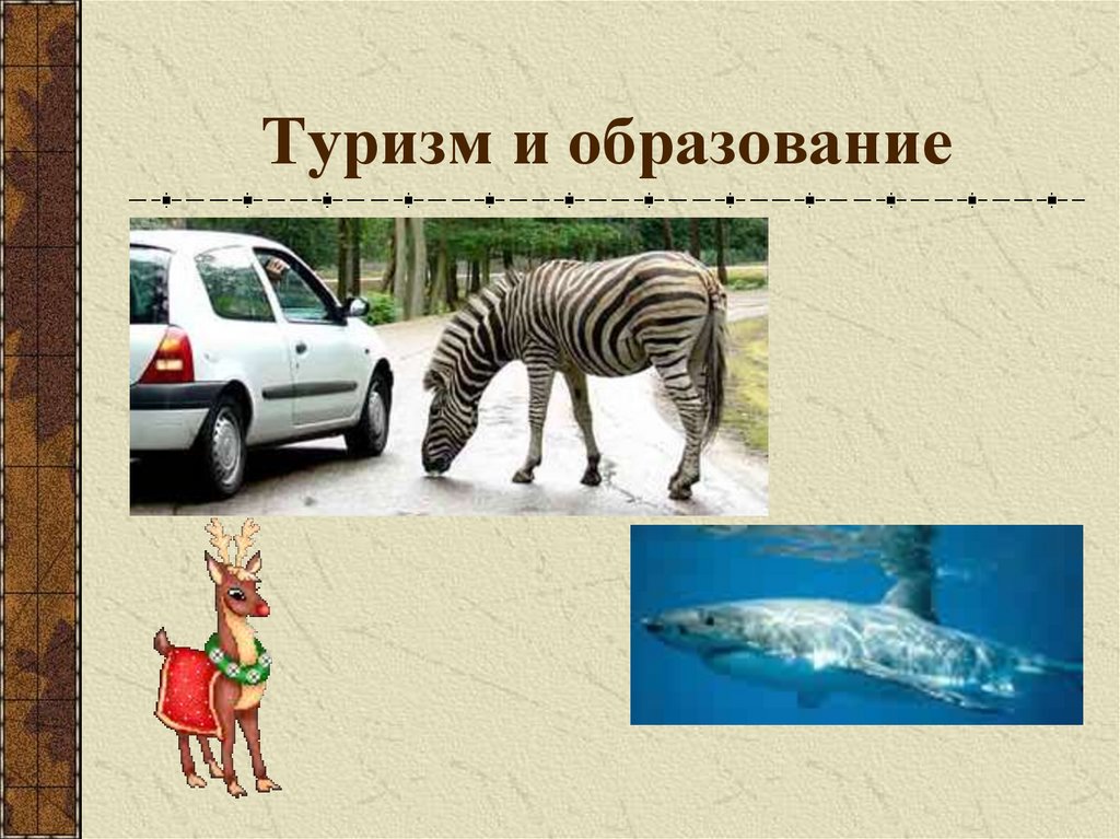 Туризм и образование