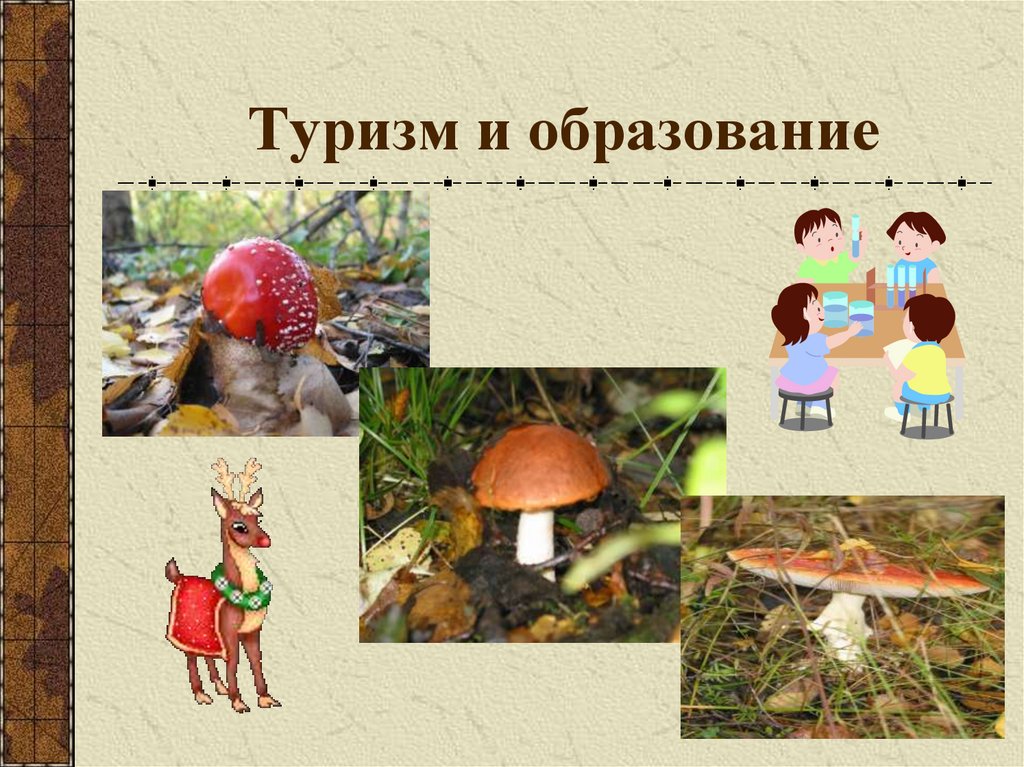 Туризм и образование