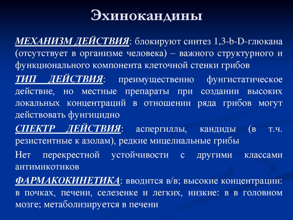 Механизм действия противогрибковых препаратов. Эхинокандины препараты противогрибковые. Эхинокандины спектр активности. Эхинокандины препараты противогрибковые механизм действия. Эхинокандины механизм действия.