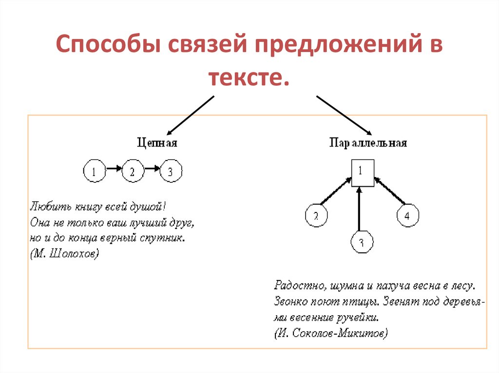 Последовательная связь предложений схема