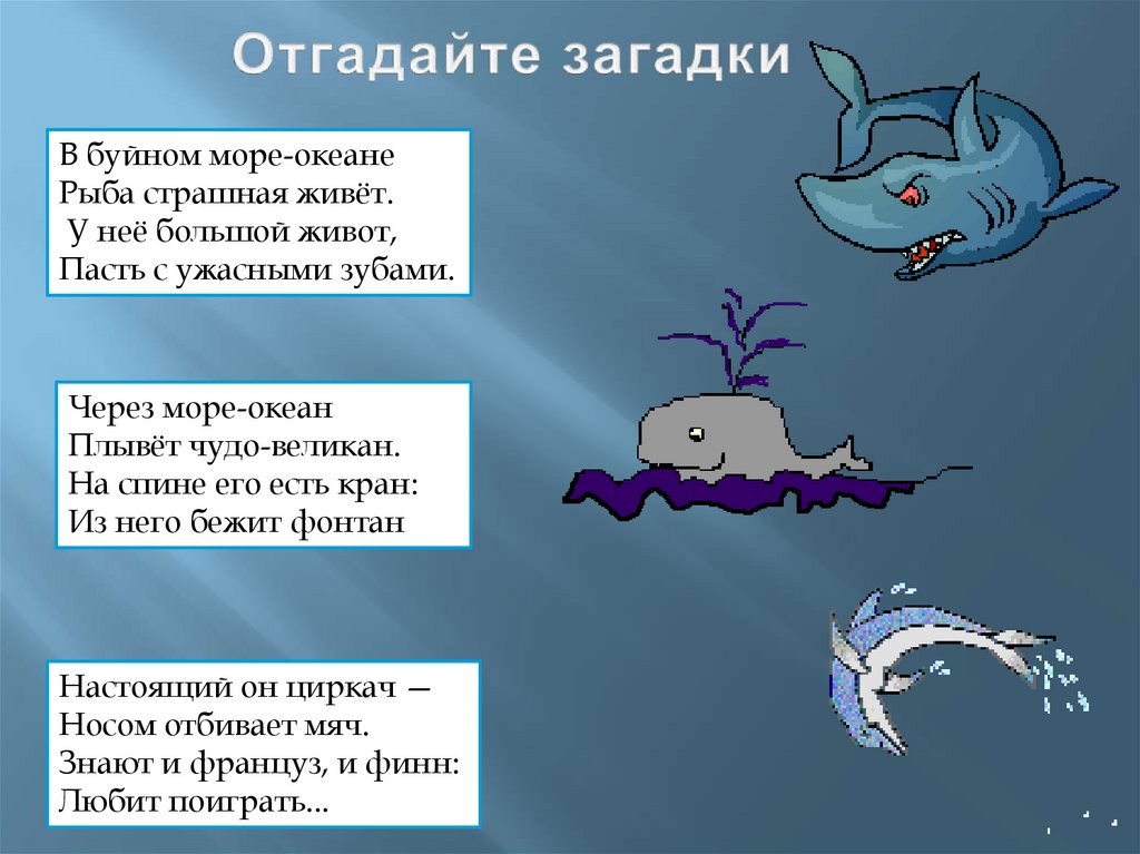 Отгадайте загадки